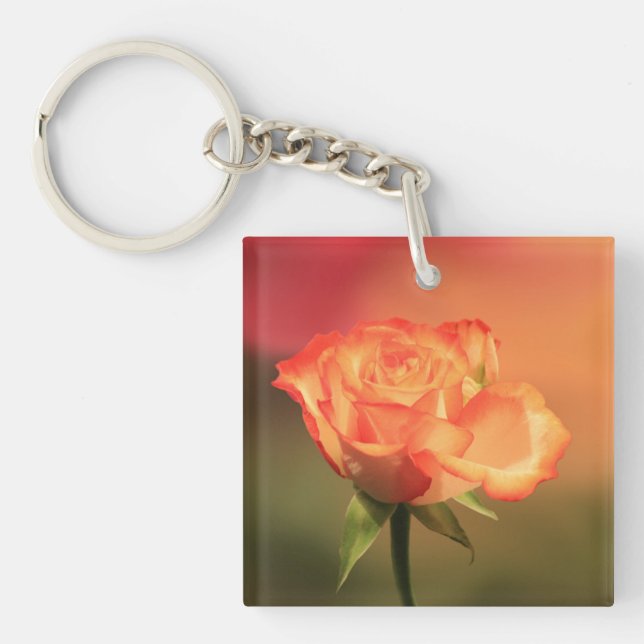 Beautiful Romantic Rose Photograph Key Ring (Front)