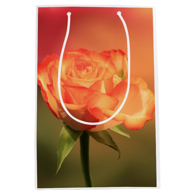Beautiful Romantic Rose Photograph Medium Gift Bag (Front)