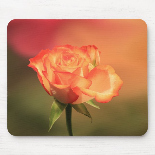 Beautiful Romantic Rose Photograph Mouse Mat (Front)