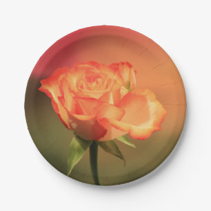 Beautiful Romantic Rose Photograph Paper Plate