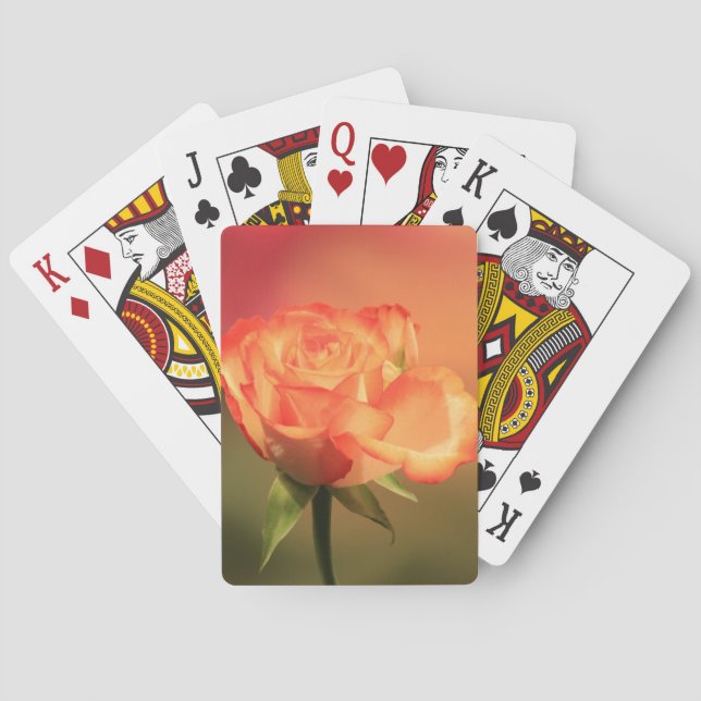 Beautiful Romantic Rose Photograph Playing Cards (Back)