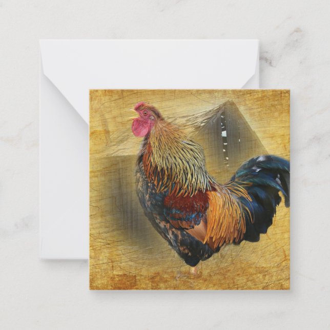 Beautiful Rooster and Rustic Barn Chicken Coop Card (Front)