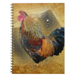 Beautiful Rooster and Rustic Barn Chicken Coop Notebook