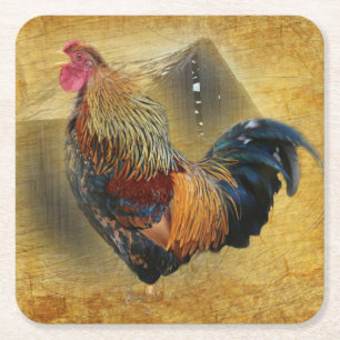 Beautiful Rooster and Rustic Barn Chicken Coop Square Paper Coaster