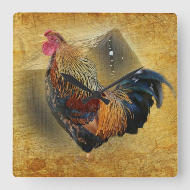 Beautiful Rooster and Rustic Barn Chicken Coop Square Wall Clock (Front)
