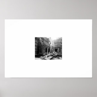 Beautiful Roots - Angkor Wats - Cambodia Poster
