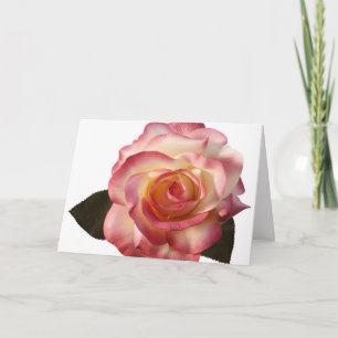 Beautiful Rose Greeting Card. Card