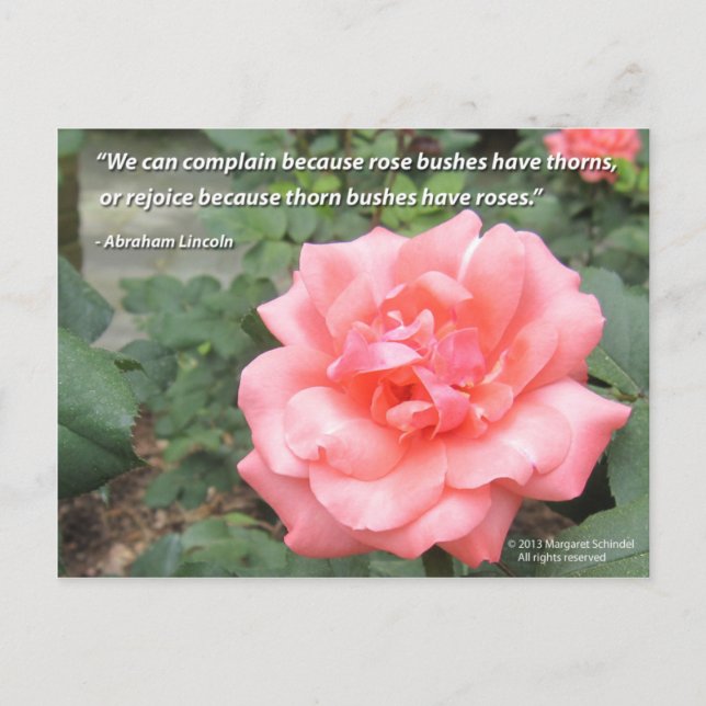 Beautiful Rose in Bloom postcard w/ Lincoln quote (Front)