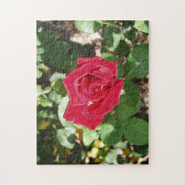 Beautiful Rose Jigsaw Puzzle (Vertical)