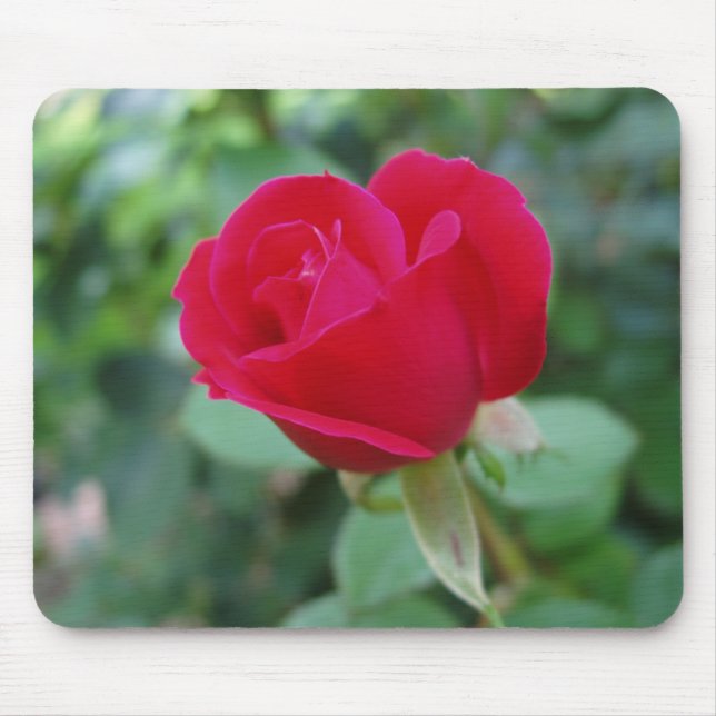 Beautiful Rose Mouse Mat (Front)