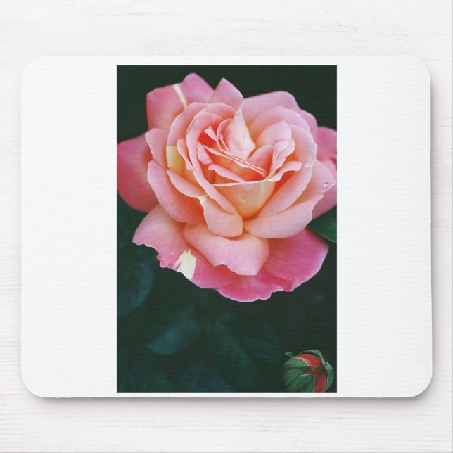 Beautiful Rose Mouse Mat (Front)