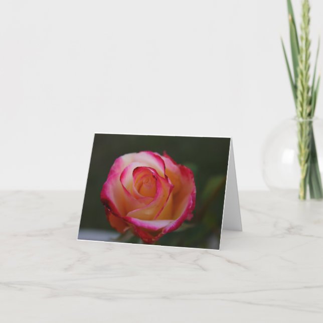 Beautiful Rose Note Card (Front)