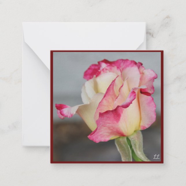 Beautiful Rose Note Card (Front)