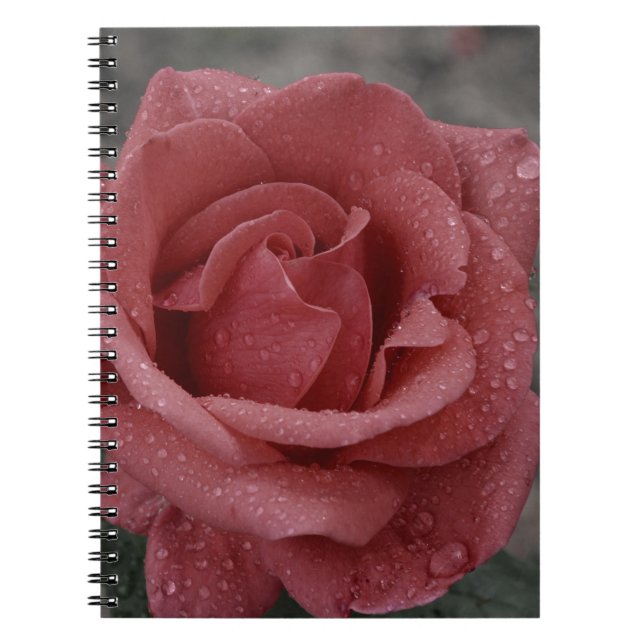 Beautiful Rose Print Notebook - Ideal for Writing (Front)