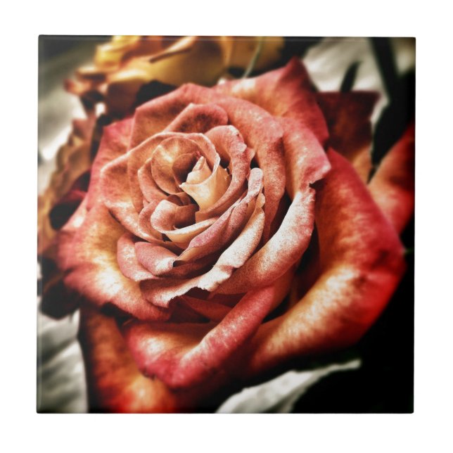 Beautiful Rose Tile (Front)