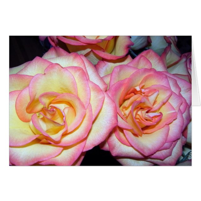 Beautiful Roses (Front Horizontal)