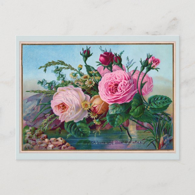Beautiful Roses Along the Water Greeting Postcard (Front)