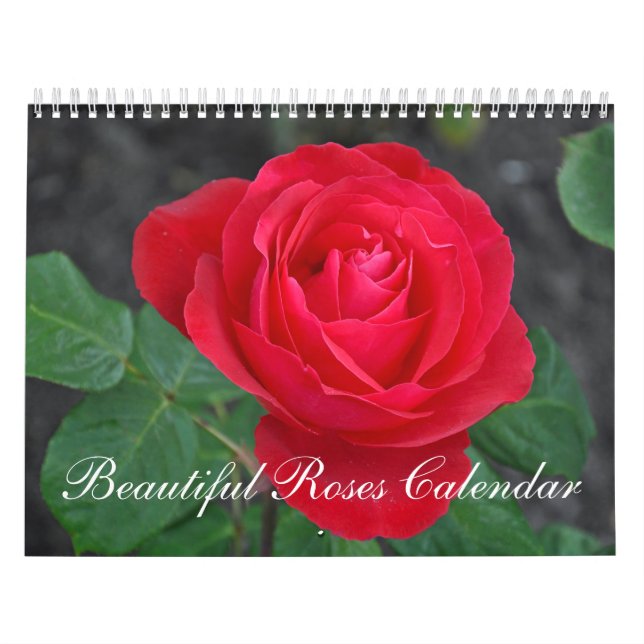Beautiful roses calendar (Cover)