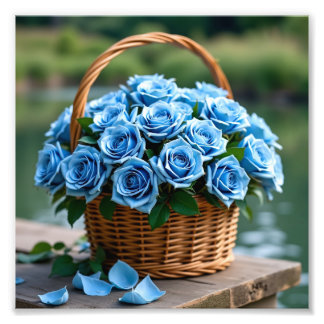 Beautiful roses in blue photo print