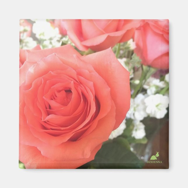 Beautiful Roses Magnet (Front)
