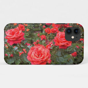 Beautiful Roses, Portland, Oregon iPhone 11 Case
