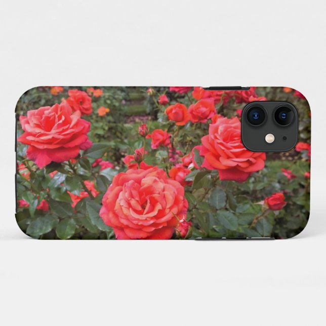Beautiful Roses, Portland, Oregon Case-Mate iPhone Case (Back (Horizontal))