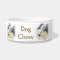 Beautiful Rough Collie dog art
