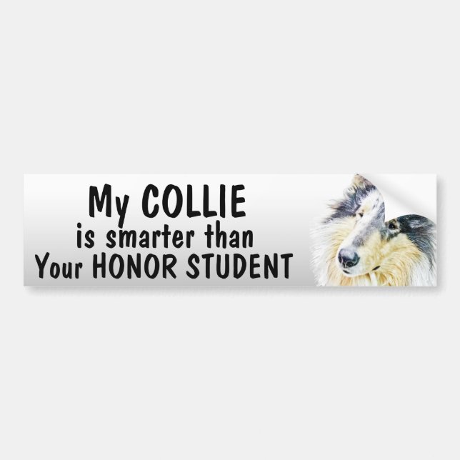 Beautiful Rough Collie dog art Bumper Sticker (Front)