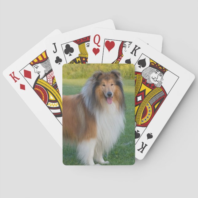 Beautiful Rough Collie Dog Playing Cards (Back)