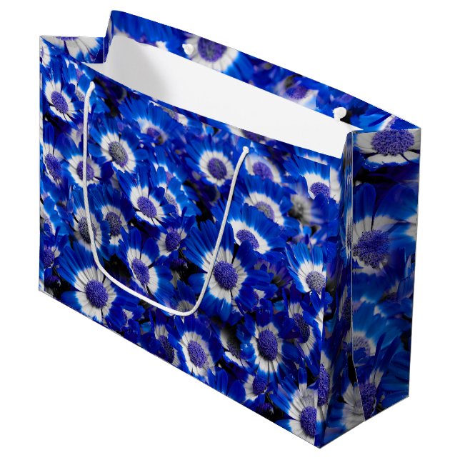 Beautiful Royal Blue Cineraria Flowers Large Gift Bag (Front Angled)