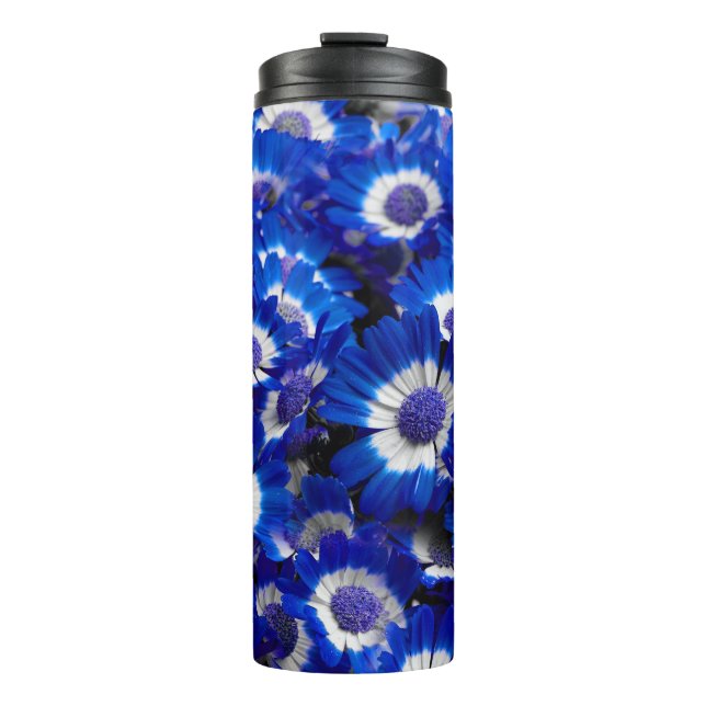 Beautiful Royal Blue Cineraria Flowers Thermal Tumbler (Front)