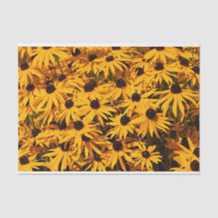 Beautiful Rudbeckias Yellow Coneflowers Tissue Paper