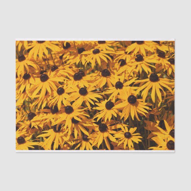 Beautiful Rudbeckias Yellow Coneflowers Tissue Paper (Front)