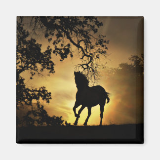 Beautiful Running Horse in the Sunset Magnet