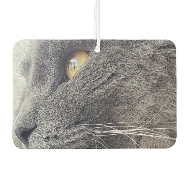 Beautiful Russian Blue Cat Close Profile Nebelung Car Air Freshener (Front)