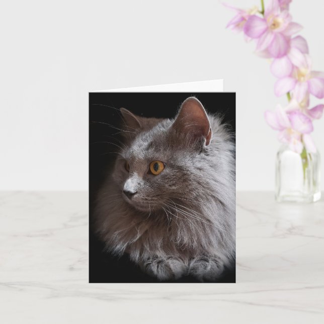 Beautiful Russian Blue Grey Cat Nebelung Blank Card (Orchid)