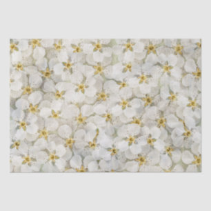 Beautiful Rustic Small White Flower Clusters  Tissue Paper