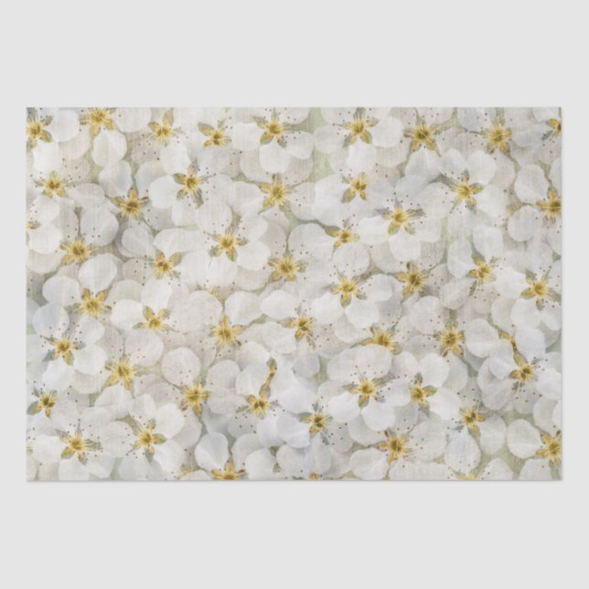 Beautiful Rustic Small White Flower Clusters  Tissue Paper (Front)