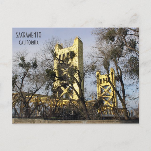 Beautiful Sacramento Postcard! Postcard (Front)