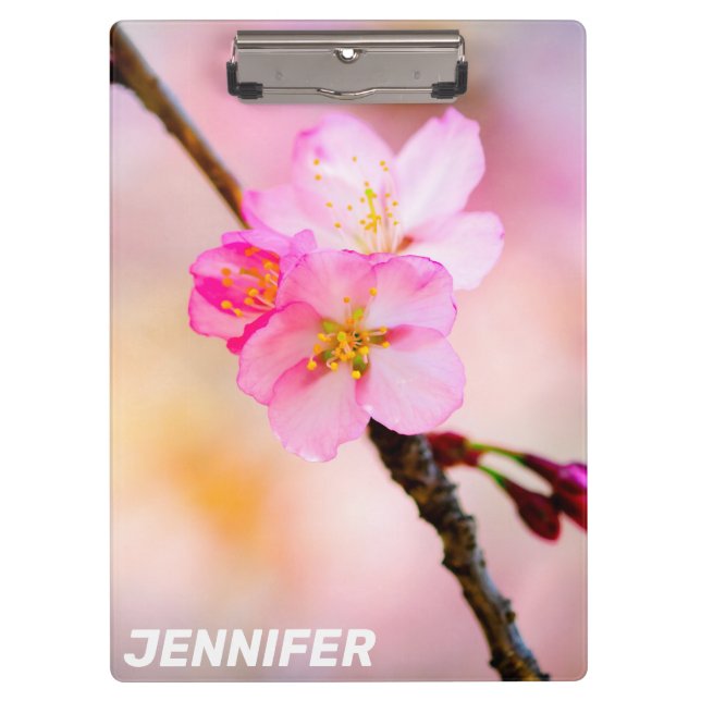 Beautiful Sakura Cherry Blossoms Clipboard (Front)