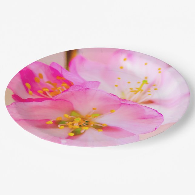 Beautiful Sakura Cherry Blossoms Paper Plate (Angled)