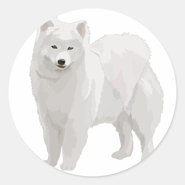 Beautiful Samoyed Classic Round Sticker (Front)