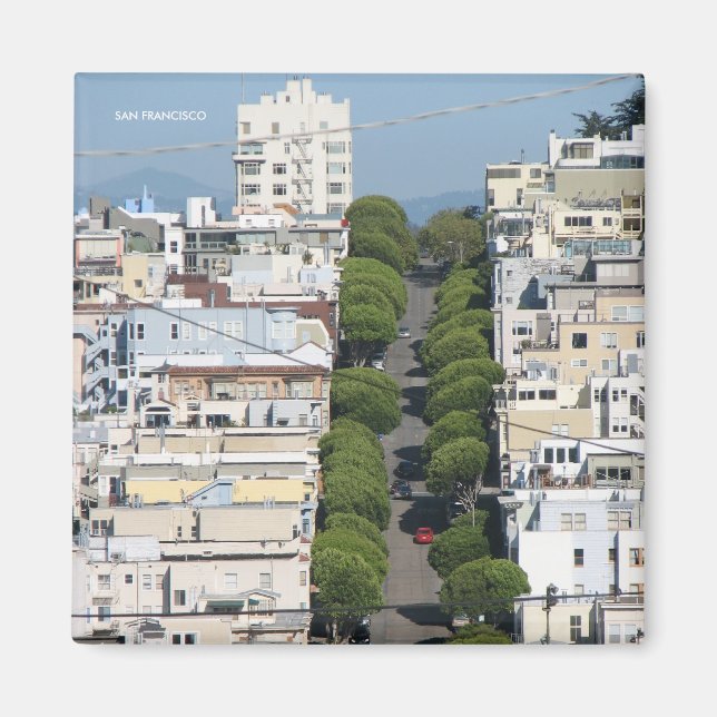Beautiful San Francisco Magnet! Magnet (Front)