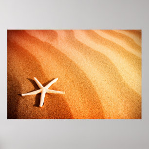 Beautiful Sand with Star Poster