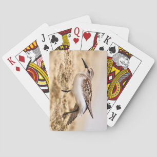 Beautiful Sandpiper Bird in the Sand Playing Cards