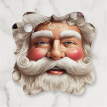 Beautiful Santa Claus