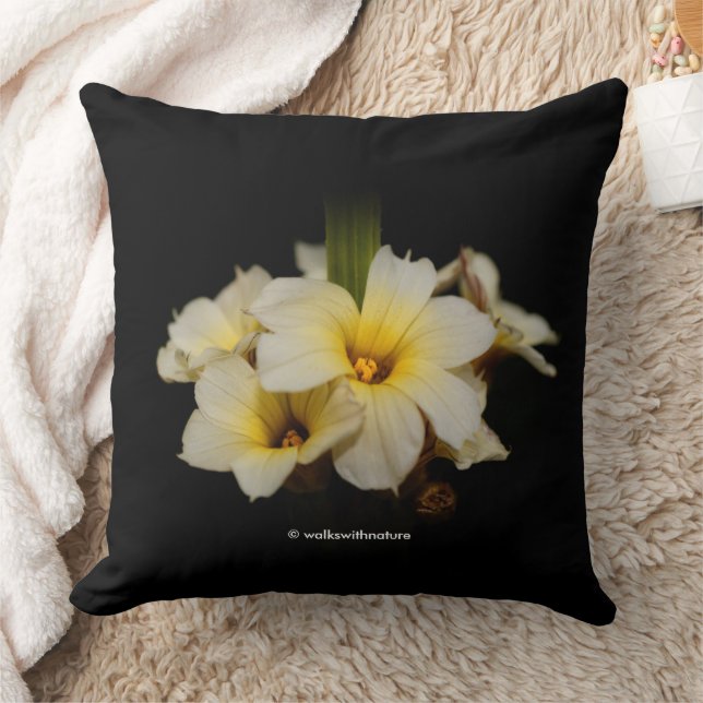 Beautiful Satin Flowers on Black Cushion (Blanket)