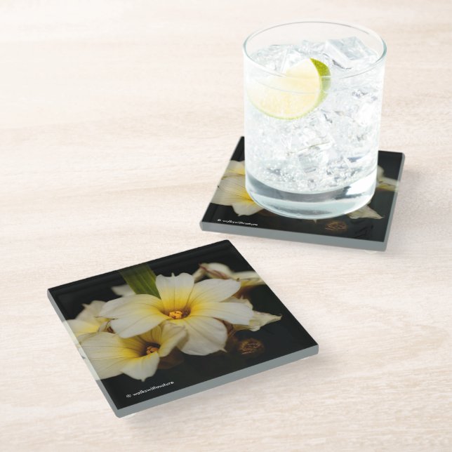 Beautiful Satin Flowers on Black Glass Coaster (Angled)