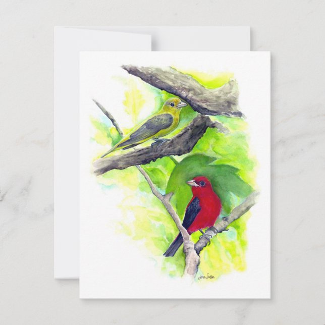 Beautiful Scarlet Tanager Couple Note Card (Front)