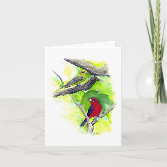 Beautiful Scarlet Tanager Couple Note Card (Front)
